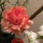 【いけばな】2019年11月分の活け替え