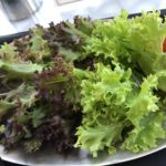 【茅ヶ崎ランチ】ル・シュマン 茅ヶ崎市美術館に併設のカフェ レタスのサラダがやたらインパクト！ メインはニンニクや玉ねぎが深い味わいをつくるグラタンをいただく