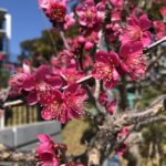 2021年２月の振返りと３月に向けて