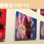 2021年展覧会TOP10 年間104展見た中から私が選ぶ美術展