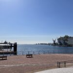 海の近くの美術館に縁のあった 2022年2月の振返りと3月に向けて