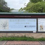 長谷川潔1891-1980展 町田市立国際版画美術館 洋風だけれど和のテイストを感じる竹取物語の挿絵が心に残る