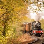 鉄道開業150周年記念の展覧会5選  それぞれのテーマの違いを楽しもう