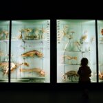 「幻の愛知県博物館」展 が興味深い【愛知県美術館】明治時代に開館した博物館が無くなってしまった理由は何か