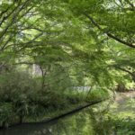 美術館で感じる四季の魅力｜季節に合わせたアート鑑賞のすすめ