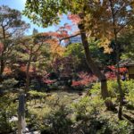 根津美術館のもう一つの名所  展示室4と6の魅力